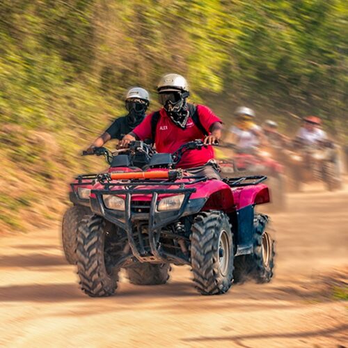 ATV SINGLE